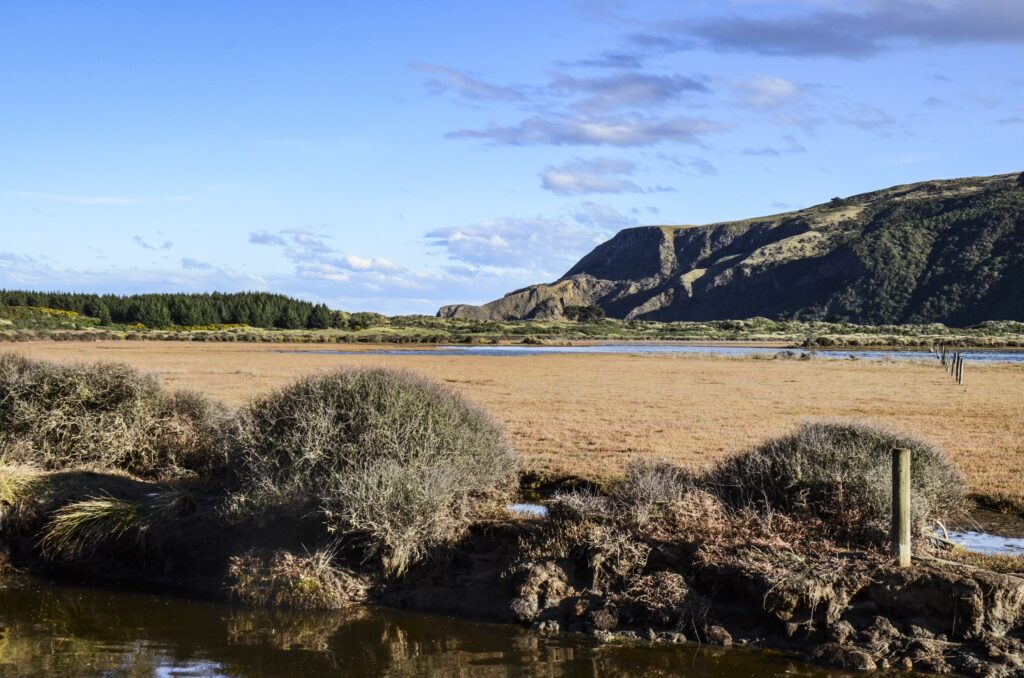 Dunedin, New Zealand