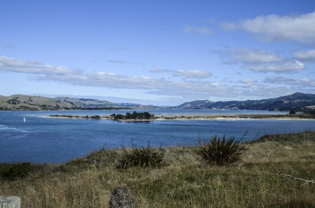 Dunedin, New Zealand
