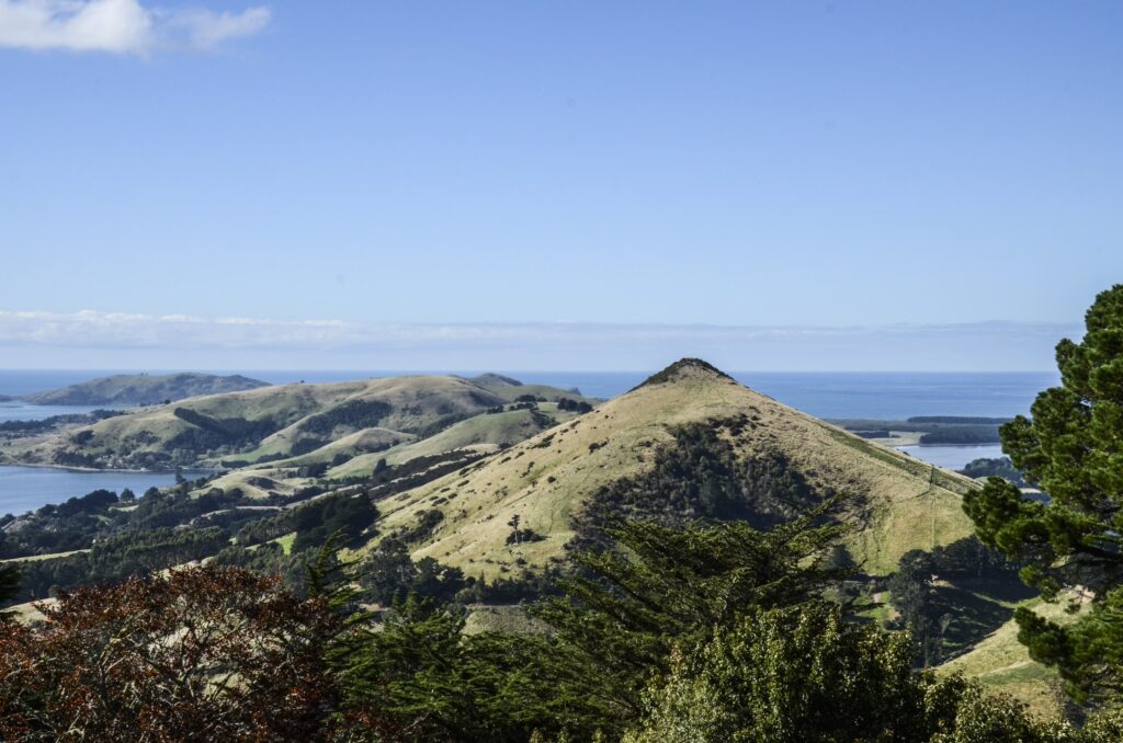 Lanarch Castle, New Zealand