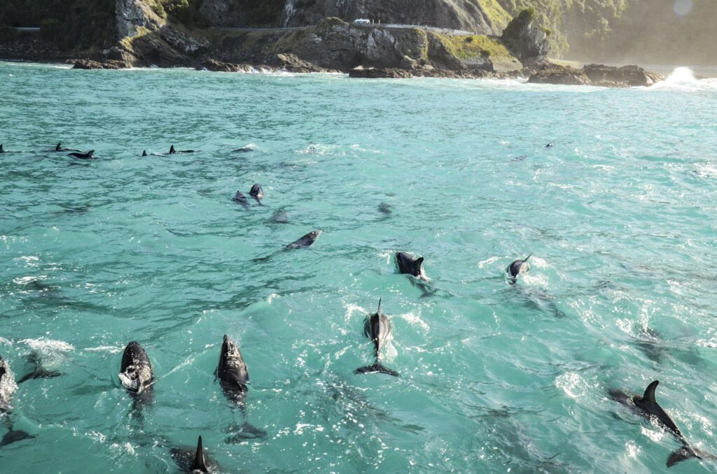 Hanmer Springs, New Zealand