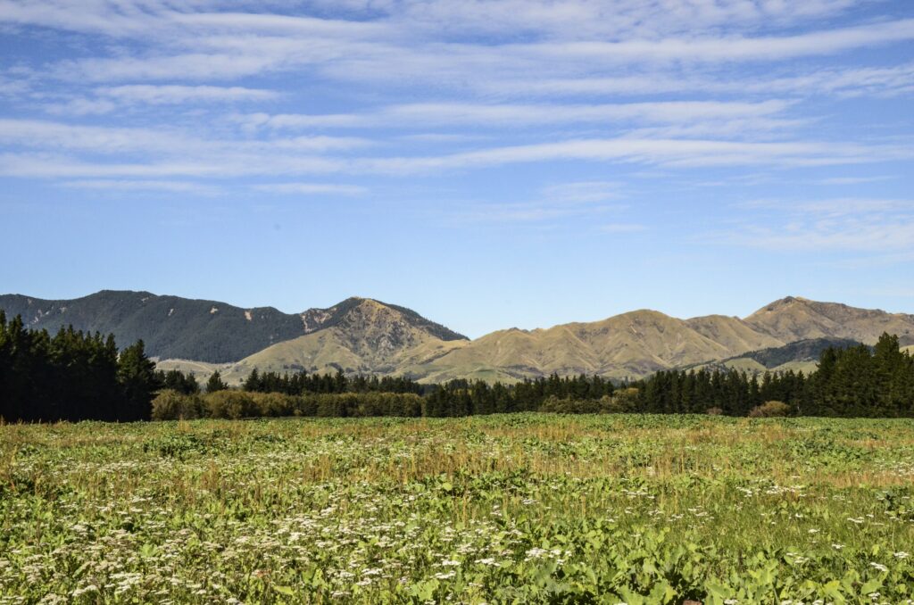 Hanmer Springs, New Zealand