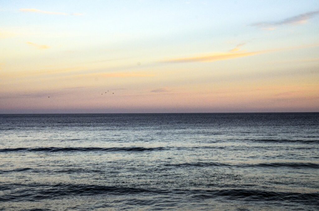 St Clair Beach, Dunedin, New Zealand