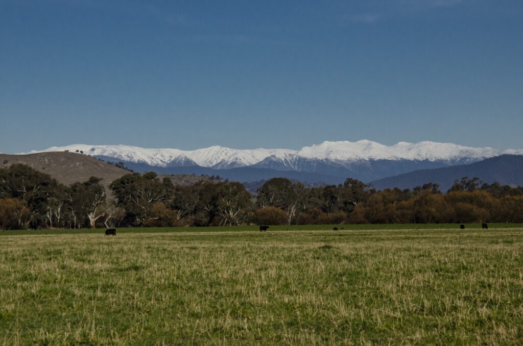 Farran’s Lookout, Upper Murray, Australia