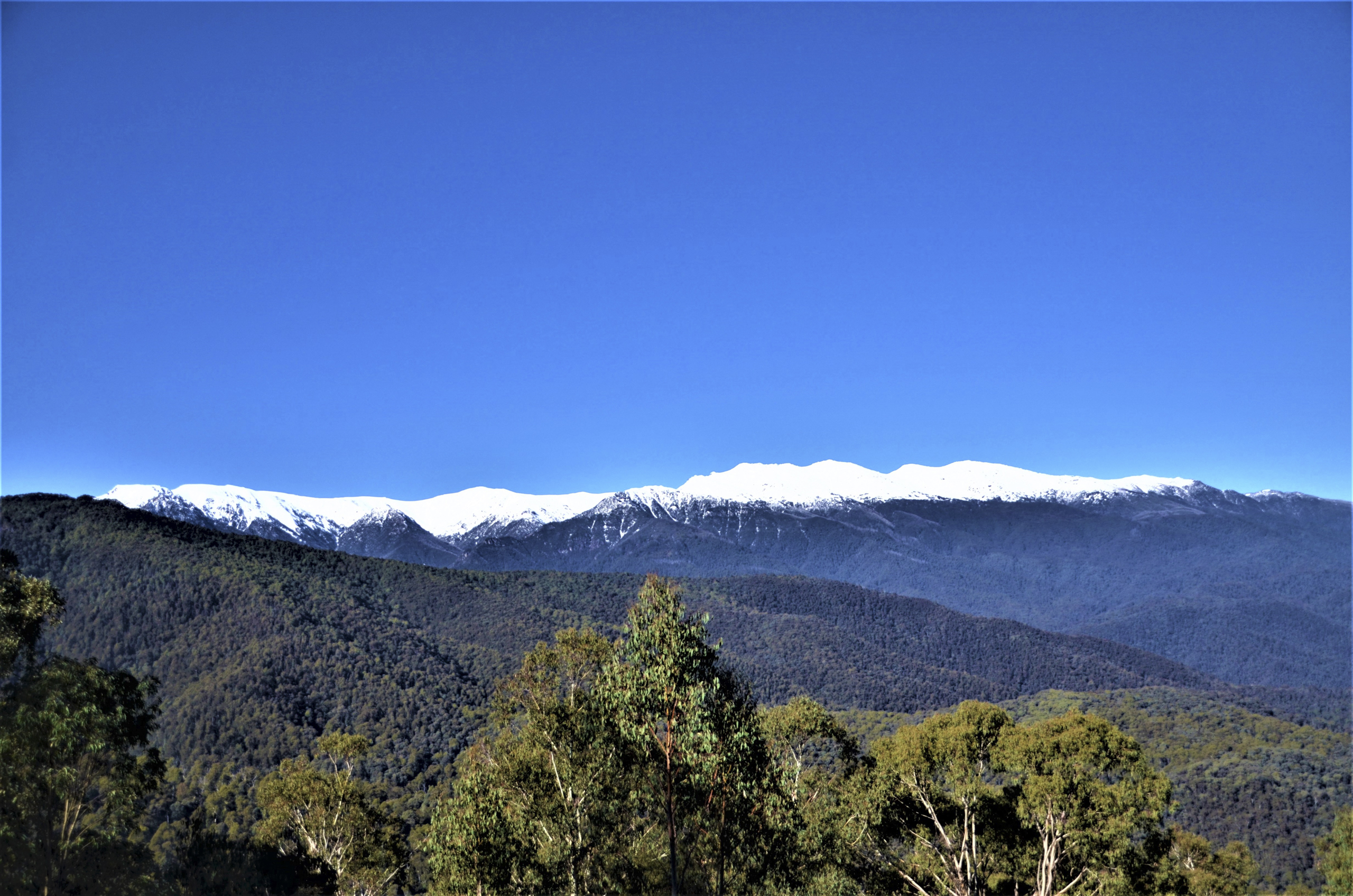 Snowy Mountains Scammells’ Spur Lookout