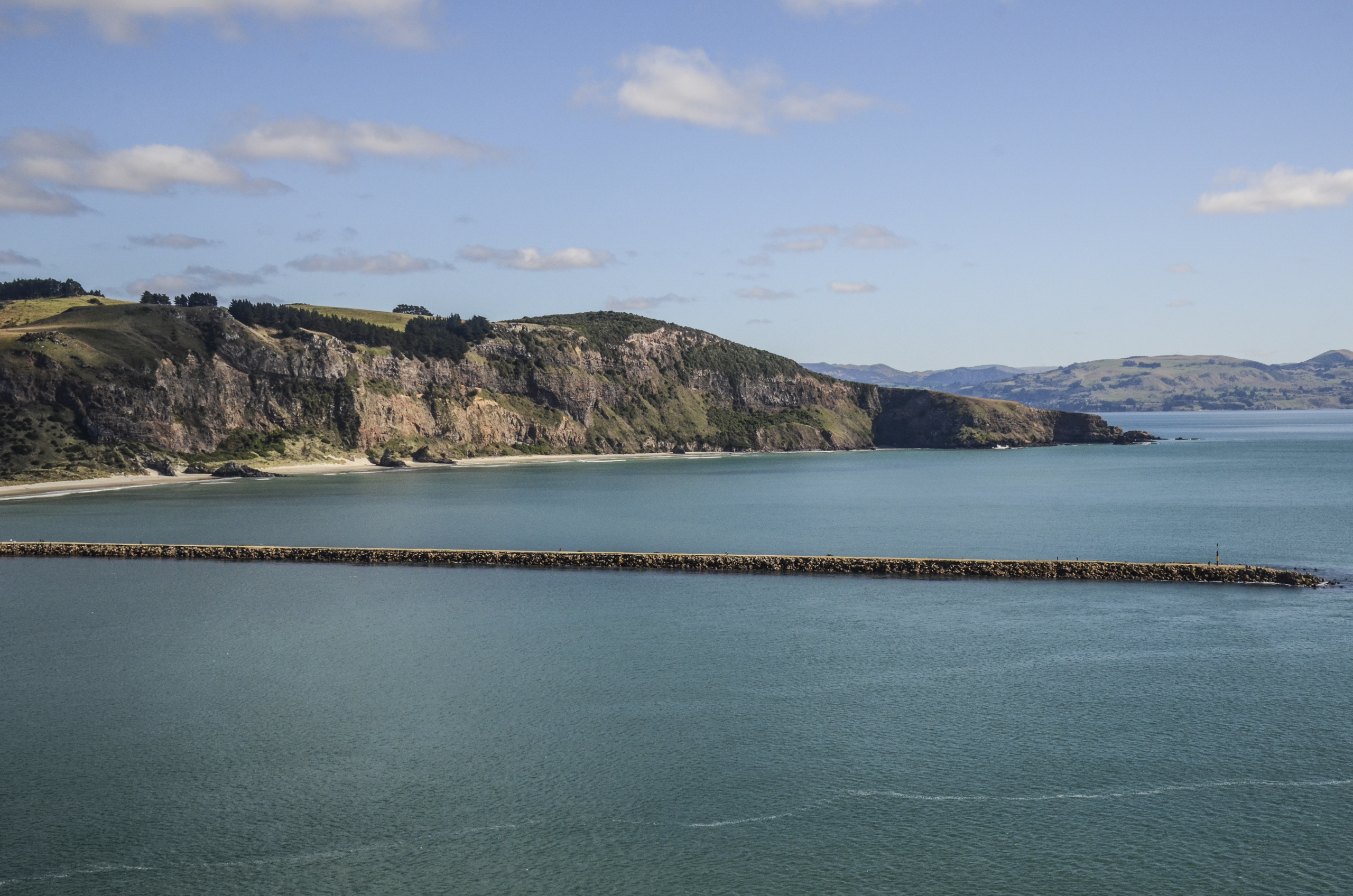 Royal Albatross Centre Nature preserve