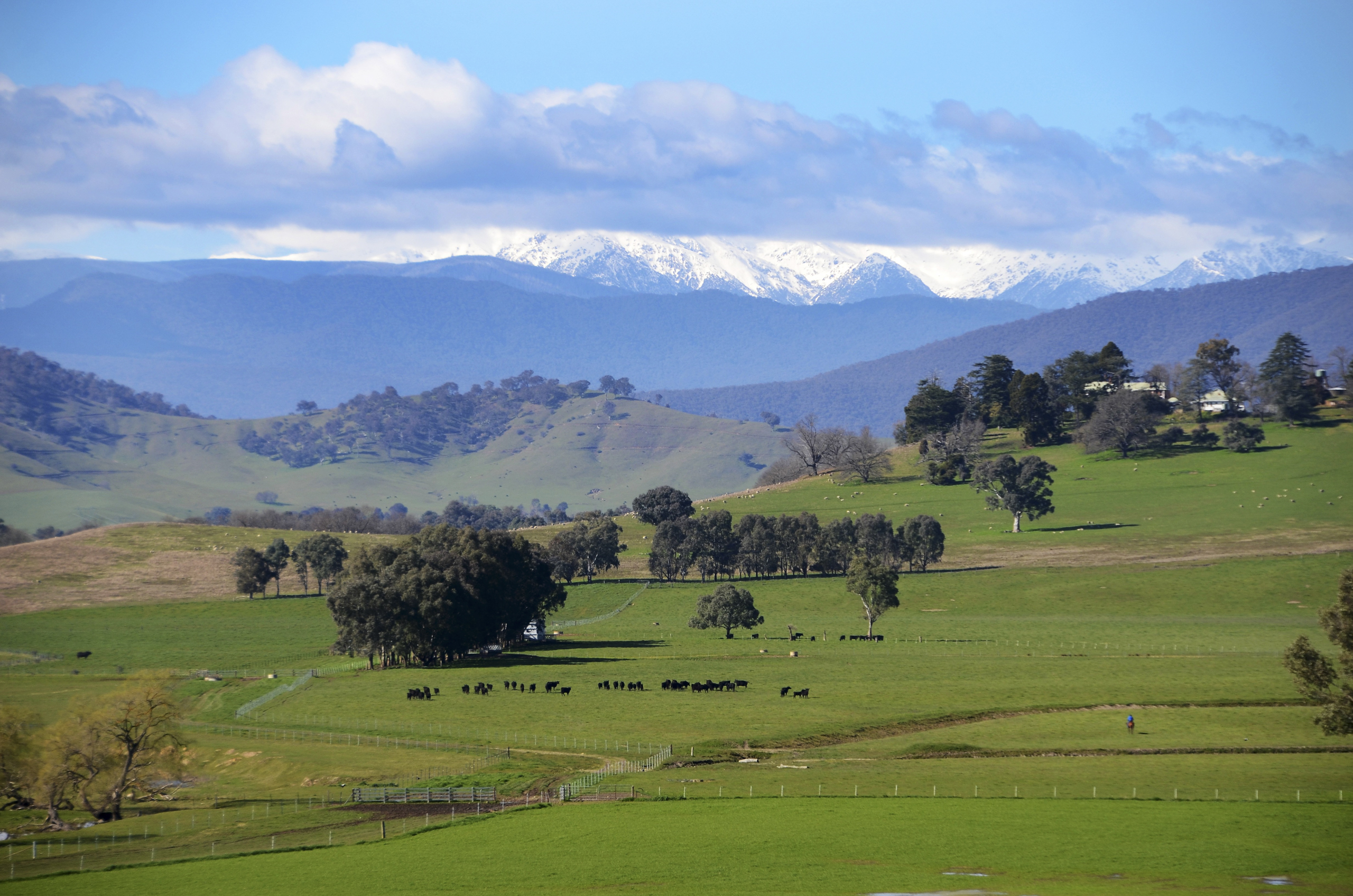 Towong Hill Station - Snowy Mountains
